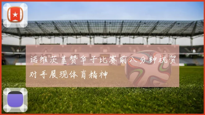 诺维茨基赞华子比赛前八分钟祝贺对手展现体育精神