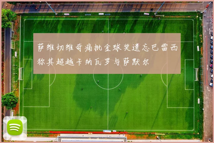 萨维切维奇痛批金球奖遗忘巴雷西称其超越卡纳瓦罗与萨默尔